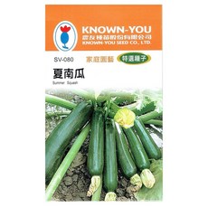 KNOWN-YOU夏南瓜種子，家庭園藝特選，快速生長，口感鮮嫩，輕鬆種植。, 1個