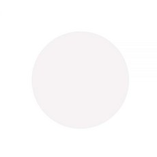 나일론 멤브레인 필터 직경 47mm 기공 크기 0.45μm 실험실 여과막 박스당 100개 나일론 47mm-0.45μm, Nylon, 47mm-0.22um