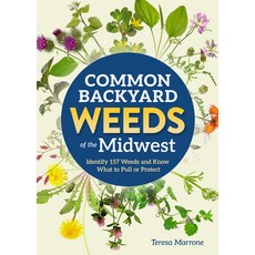 (영문도서)Common Backyard Weeds of the Midwest: Identify 157 Weeds and Know What to Pull o... Paperback, Adventure Publications, English, 9781647555757