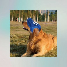 귀구멍 대형견용 산책용 강아지모자 바람통하는 야외용 썬캡, 1개, 1cl1 04펫야구모자-베이지S