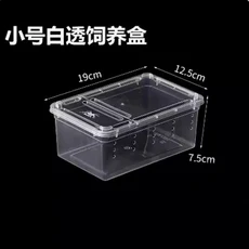 파충류 사육 상자 탈출 방지 이중문 수생용 소형 중형 대형 거미 및 애호가용 할로윈 선물, 03 S