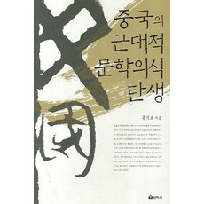 중국의 근대적 문학의식 탄생, 선학사, 홍석표 저