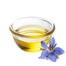 보리지 오일 천연 베이스오일, 100ml, 1개, 100ml