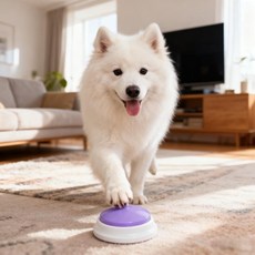 寵物交流按鈕 狗狗錄音發聲訓練器 語音玩具, 紫色 錄音款, 1個, 交流按鈕