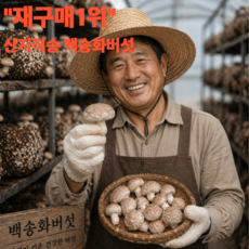 [하루30박스한정] 문경 백송화버섯 명품, 1박스, 400g