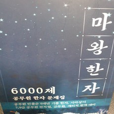 2020 마왕한자 6000제 : 공무원 기출 한자 문제집/김철수.공시각, 공시각