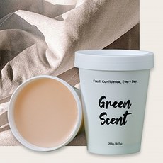 그린센트 에브리데이 자연유래성분 실내 고체 방향 탈취제 머스크향 260g