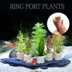 미니 링포트 수초 귀여운 어항장식 수족관꾸미기 필수템, 1개