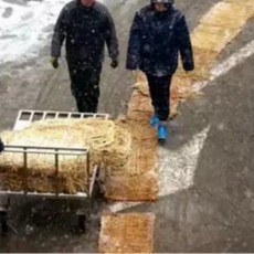 짚멍석 보온 건초더미 조경자재 잠복소, 1개, 14_미끄럼 방지 단열 짚매트 1x5m