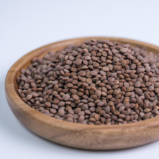 브라운 갈색렌틸콩 1kg 햇곡 잡곡 슈퍼푸드, 1개