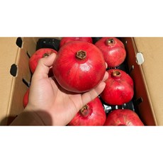 [제철수확] 제철 석류가 전하는 자연의 달콤함 석류과일, 1개, 청년인증석류 대과 2.5kg (5~6과)