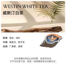 FREESIA 小蒼蘭 香氛石膏蠟燭, 1個, 威斯汀白茶