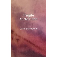 (영문도서) fragile certainties Paperback, Exilic Press, English, 9789083016443
