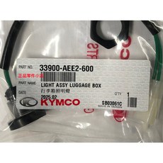 光陽正廠 AEE2 行李箱照明燈 G DINK CT 300, 1個