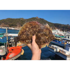 봄도다리 쑥 생물 제철 산지직송, 2세트, 손질후 800g + 쑥 40g