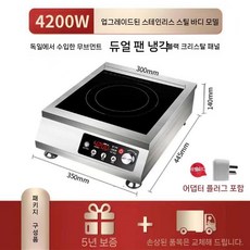 업소용 하이라이터 전기 3500W 인덕션 렌지 식당용 실버 본체 전용 레인지 전기레인지, 6. 듀얼 4200W 평면