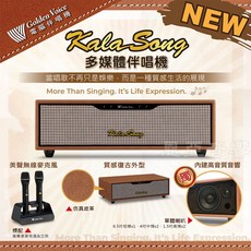 金嗓 卡拉頌 多媒體伴唱機 家用型 4T碟碟 二支無線麥克風 錄音 藍牙 評分簡譜家庭劇院, Kala Song