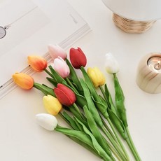코코도르 조화 튤립, 레드, 10개