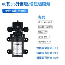 GOOD PUMPS 120瓦7升自吸增壓隔膜泵, 1個, 80瓦5.5升自吸增壓泵