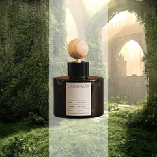 카사바시아 새차 차량용 방향제 디퓨저 차량 카, 1개, 신테틱 정글