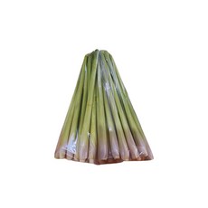 레몬그라스 SA TUOI, 1kg, 1개