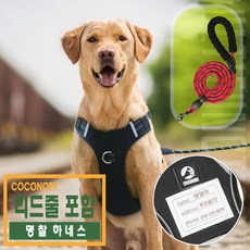 코코노피 명찰 강아지 하네스 목줄 중형견 대형견 리드줄 산책줄 세트, 레드, 1개