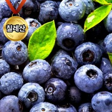 [새해기념파격특가] 칠레산 블루베리 생과 눈건강 항공직수입, 1개, 칠레산 블루베리 2팩