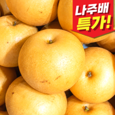 [200개 초특가] 고당도 신고배 가정용 나주배 배, 1개, 곧마감 _5kg (오늘특가!