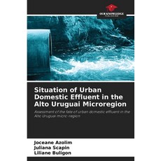 (영문도서)Situation of Urban Domestic Effluent in the Alto Uruguai Microregion Paperback, Our Knowledge Publishing, English, 9786208792237