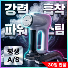 진공 흡입 흡착 스팀다리미 핸디형 가정용 살균 탈취, 노블화이트, STD-EW246550 노블화이트, STD-EW246550