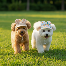 반려동물 귀돌이 산책 모자 강아지 고양이 겨울 방한 외출 햇빛 차단 아이템, 1개, 밀크카우