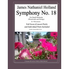 (英文圖書)Symphony No 18: For Small Orchestra (Woodwinds and Strings) Full Score and Indiv... 平裝版, Independently Published, 英文