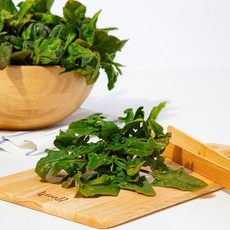 [더조은] 전남무안 노지 시금치 2kg, 없음, 1개