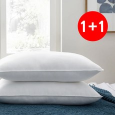 1+1 통째로 빨아쓰는 퓨어리 항균베개솜(진드기차단) 40x60 / 50x70, 1개, 항균