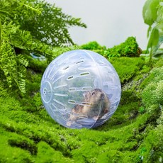 덕덕 햄스터 운동볼 무소음