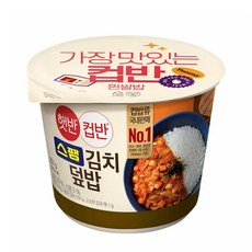 햇반컵반 스팸김치덮밥, 251g, 24개