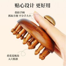 檀木按摩梳 頭皮經絡按摩圓盤梳, 1個, 圓盤多角度按摩梳 1個裝