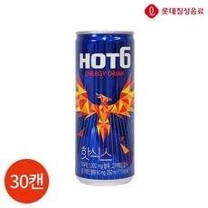 롯데칠성 롯데 핫식스 250ml x 30캔