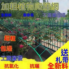 艾薇 植物爬藤網 園藝防護網, 1個, 90股繩長度包邊【抗曬10厘米網孔】,加粗爬藤網【1.5米寬3米長】：給扎帶