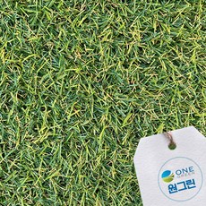 원그린 국내산 인조잔디 테라스 옥상 조경용 16mm 20mm 보급형 2M X 10M 낱장, CX1600 2M X 10M, 1개