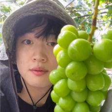 [17~19 Brix 당도보장] 김천뭉치네 샤인머스켓 GAP 우수재배인증, 1박스, 4kg 샤인머스켓 가정용 8~9수