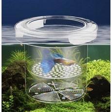 물아일체 구피 배타 새우 부화통 부상식 수조 격리 작은 물고기 임신 인큐베이터 치어통, 1개