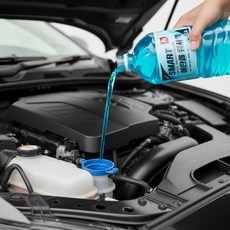 소낙스 사계절 에탄올 워셔액 더뷰 1.8L, 1개