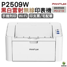 PANTUM P2509W 黑白無線雷射印表機, P2509W, 不加購 保固ㄧ年