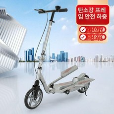 2륜 걷는 자전거 스텝 공원 이륜 브레이크 어르신 레저 야외 마실 성인용 워킹 산책 유산소, 미포함 스페이스실버 접이식 포함, 기본 모델명/품번