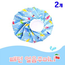 프리미엄 냉 찜질주머니 아이스팩 6인치, 2개