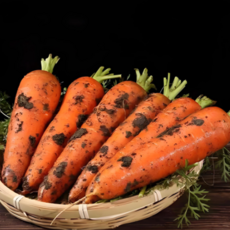 [주문량폭주] 햇 구좌당근 아삭달큰 제주직송, 1개, 2kg