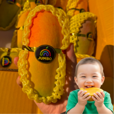 [직수입] 무지개망고 마하차녹 항공직송, 1박스, 1kg