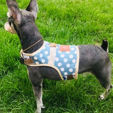 RlikeU 도트 하네스 가슴줄 산책줄 리드줄 세트 PET-07, 1개, PET-07-도트-블루