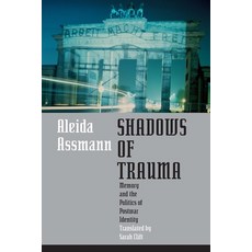 (영문도서) Shadows of Trauma: Memory and the Politics of Postwar Identity Paperback, Fordham University Press, English, 9780823267286